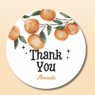 Een Kleine Moppige Oranje Baby Shower Bedankt Ronde Sticker