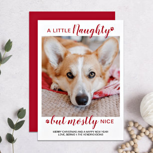 Een kleine Naughty persoonlijke foto van Dog Pet Feestdagenkaart
