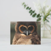 EEN KLEINE OWL BRIEFKAART (Staand voorkant)