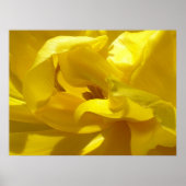 Een kleine piep poster (Voorkant)