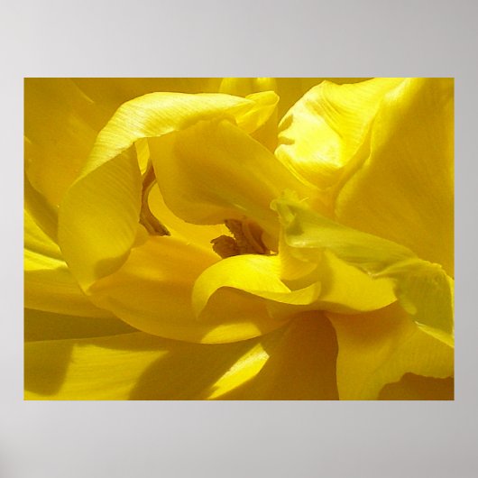 Een kleine piep poster (Voorkant)