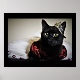 Een kleine prinses poster