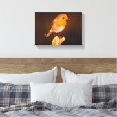 Een kleine Robin vogel op de baars Canvas Afdruk (Insitu (Slaapkamer))