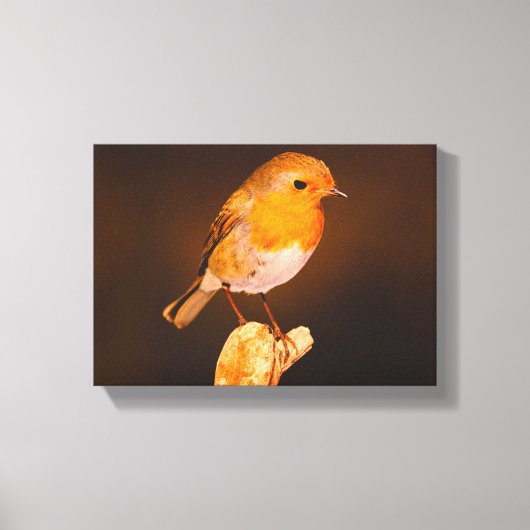 Een kleine Robin vogel op de baars Canvas Afdruk (Voorkant)