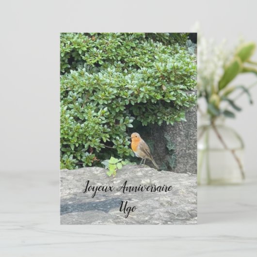 Een kleine rode keel (Staand voorkant)