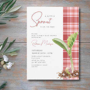 Een Kleine Spruit Plant Rode Gingham Baby Shower Kaart