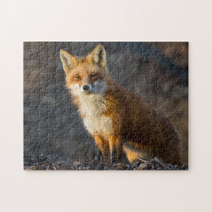Een kleine staartvos legpuzzel