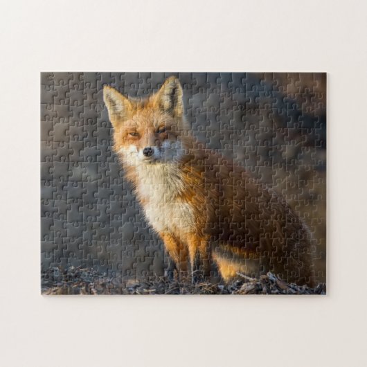 Een kleine staartvos legpuzzel (Horizontaal)