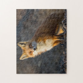 Een kleine staartvos legpuzzel