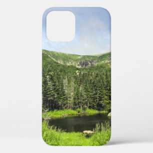 Een kleine vijver in de vallei van de bergen in de Case-Mate iPhone case