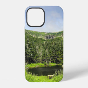 Een kleine vijver in de vallei van de bergen in de iPhone 12 hoesje