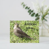 Een kleine vogel vertelde me - Briefkaart (Staand voorkant)