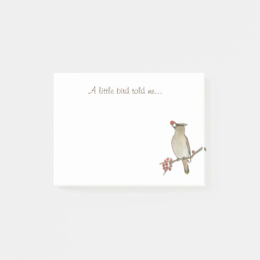 Een kleine vogel vertelde me post-it® notes (Voorkant)