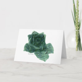 Een kleine vogel vertelde me Roos Kaart