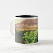 Een kleine vulkaan in het Mexicaanse platteland, 1 Tweekleurige Koffiemok (Voorkant links)