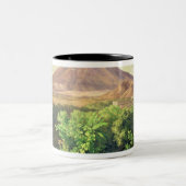 Een kleine vulkaan in het Mexicaanse platteland, 1 Tweekleurige Koffiemok (Center)