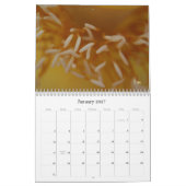 Een kleine wereld kalender (Jan 2027)