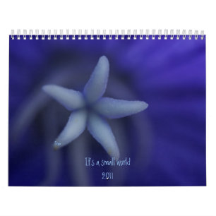Een kleine wereld kalender
