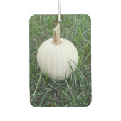 Een kleine witte pompoen luchtverfrisser (Voorkant)