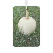 Een kleine witte pompoen luchtverfrisser (Achterkant)