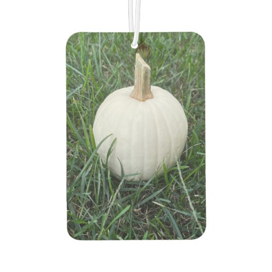 Een kleine witte pompoen luchtverfrisser (Achterkant)