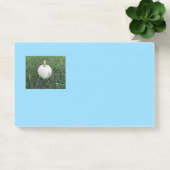 Een kleine witte pompoen post-it® notes (Kantoor)