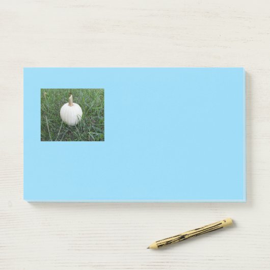 Een kleine witte pompoen post-it® notes (Op bureau)