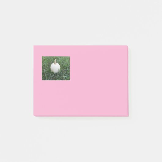 Een kleine witte pompoen post-it® notes (Voorkant)
