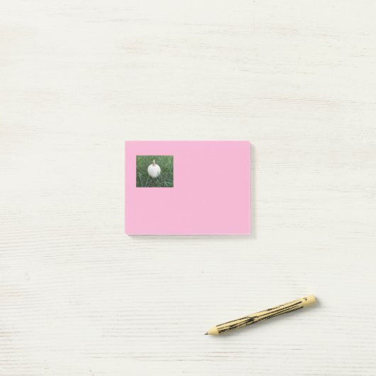 Een kleine witte pompoen post-it® notes (Op bureau)