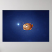 Een kleine zeeduivel poster (Voorkant)