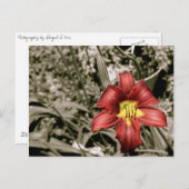 Een kleurenspiegel briefkaart (Voorkant / Achterkant)