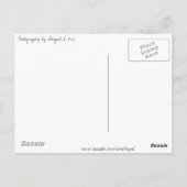 Een kleurenspiegel briefkaart (Achterkant)