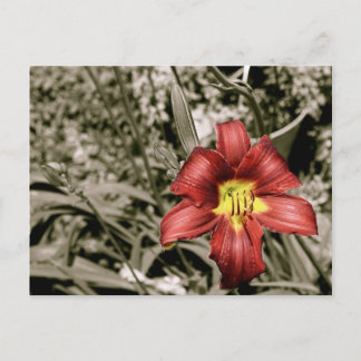 Een kleurenspiegel briefkaart