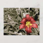 Een kleurenspiegel briefkaart (Voorkant)