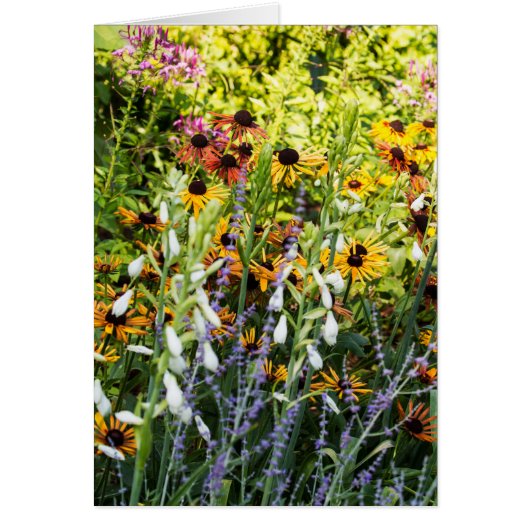 Een kleurrijk (Voorkant)