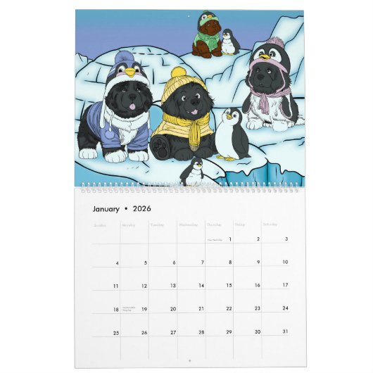 Een kleurrijk jaar van Newfoundlands Kalender (Jan 2026)