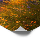 Een kleurrijke dromer op Sunset Poster (Hoek)