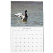 Een kleurrijke jaarkalender voor de muur kalender (Jan 2026)