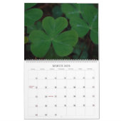 Een kleurrijke jaarkalender voor de muur kalender (Mar 2026)