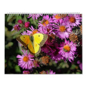 Een kleurrijke jaarkalender voor de muur kalender (Hoes)