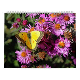 Een kleurrijke jaarkalender voor de muur kalender