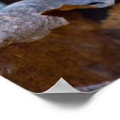 Een kleurrijke rots op het Poster van de bosgrond (Hoek)