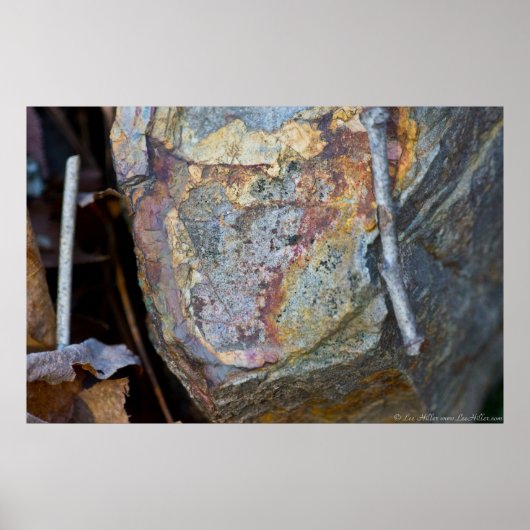 Een kleurrijke rots op het Poster van de bosgrond (Voorkant)