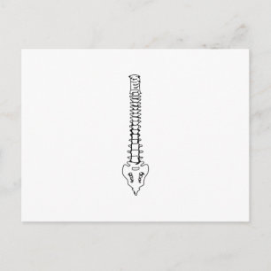 ÉÉN KLEURSPIJN BRIEFKAART