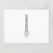 ÉÉN KLEURSPIJN BRIEFKAART (Voorkant)