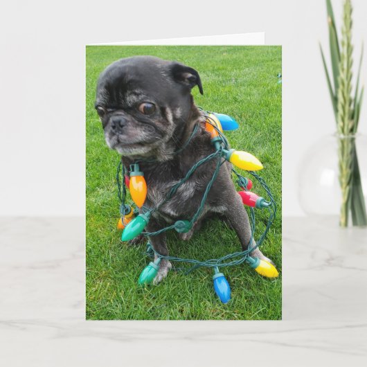 Een kluwen-vrije kerst feestdagen kaart (Voorkant)