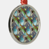 Een Koala aannemen! Metalen Ornament (Rechts)