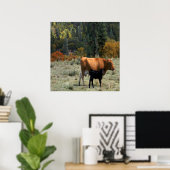 Een koe en haar kalf..... poster (Thuiskantoor)