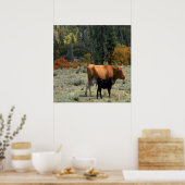 Een koe en haar kalf..... poster (Keuken)