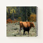 Een koe en haar kuit... notitieboek (Achterkant)